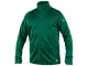 Bluza CXS Toronto zielona